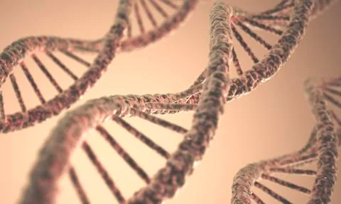 DNA double helix, artwork Stock Illustration