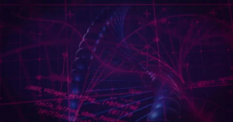 DNA double helix being visualized twisting over glowing magenta grid, with code Vidéo 307972594