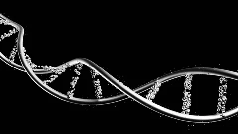 DNA double helix on black background. Vídeo Stock 302880232