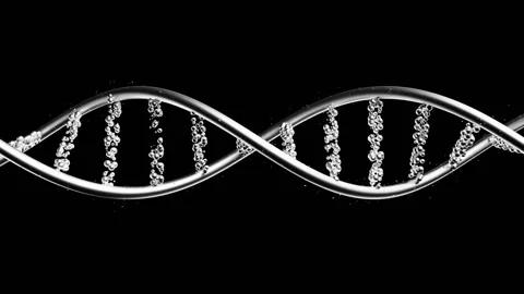 DNA double helix. On black background and Green screen. Stock Footage 302880236