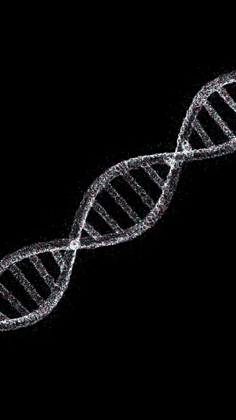 Dna double helix chain loop rotation on clean black vertical background Stock Footage 343611123