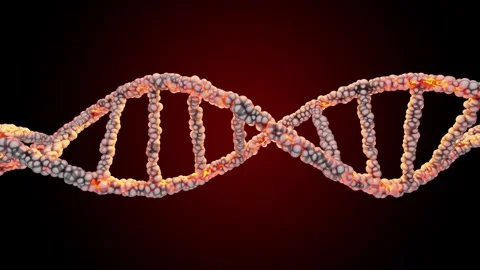 DNA double helix On the dark background abstract. Animation seamless loop. 스톡 동영상 269445852