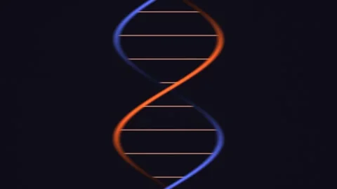 DNA double helix on a dark background with blue and orange Stock Footage 338277552