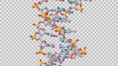 DNA Double Helix Stock Footage 62641638