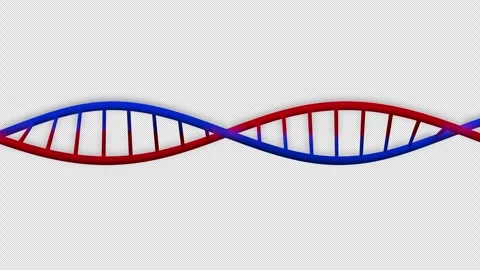 DNA Double Helix Vidéo 255995325