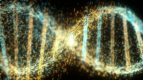 DNA double helix forming Vidéo 178587218