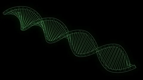 DNA Double Helix Genetic Science #1 Wireframe Neon Green 4K 60Fps VJ Loop Stock Footage 345452502