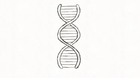 DNA Double Helix Hand Drawn Illustration Stock Footage 336269866