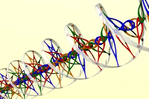 DNA double helix Stock Illustration