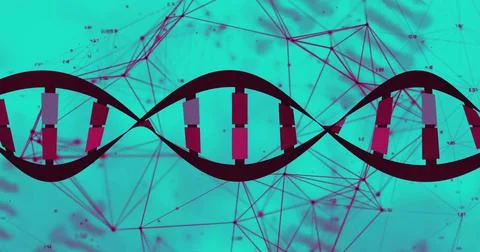 DNA double helix image over network of connections and data points Stockfoto's