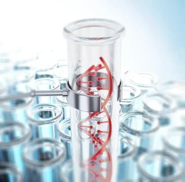 DNA double helix inside test tube. 3D illustration 스톡 일러스트