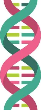 DNA double helix, minimal simple vector illustration Stockillustratie