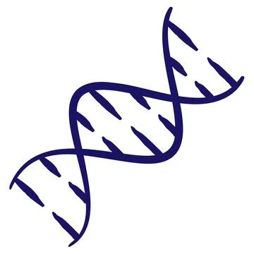 DNA double helix minimal vector icon drawn with brush line イラスト素材