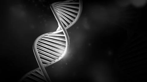 DNA double helix model on a black background, 3D render. Illustrazione stock