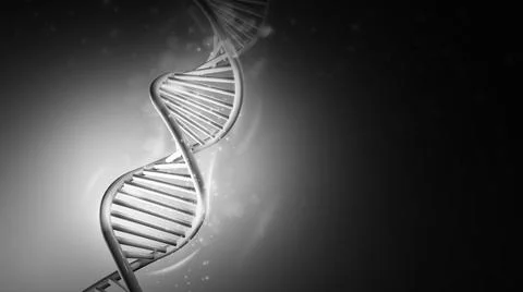 DNA double helix model in gray colors, 3D render. 스톡 일러스트