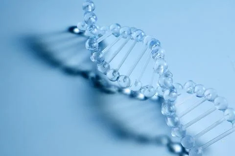 Dna double helix model representing genetic science and research Stock Photos
