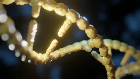 DNA Double Helix Molecular Architecture Nitrogenous Base Pairing 4K Stock Footage 339269317