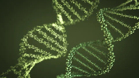 A DNA double helix molecule Stock Footage 242951374