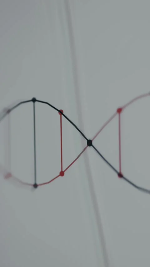 DNA double helix molecule represented in a scientific illustration Stock Footage 335891798