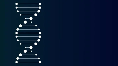 DNA double helix molecule rotating on dark background with copy space Stock Footage 317143740