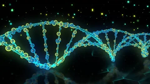 DNA Double Helix Nodal Visualization Blue and Yellow Strands Molecular 4K Stock Footage 339269347