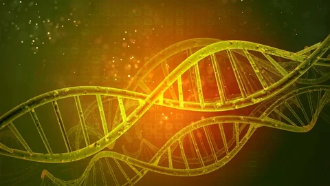 DNA double helix orange background Video stock 90161437