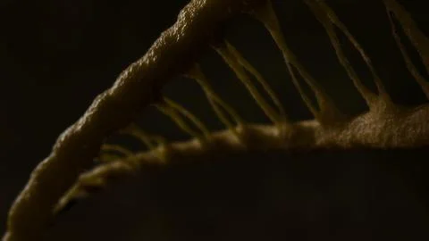 DNA Double Helix Realistic 3d Animation Stock Illustration