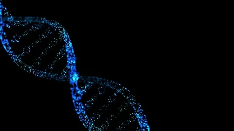 DNA double helix rotating. Abstract glittering DNA molecule from particles. Video stock 302881245
