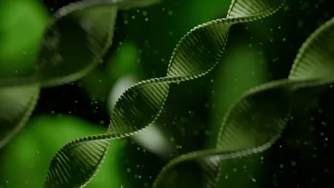 Dna Double Helix Rotating in Abstract Green Laboratory Environment 库存影片 331109984
