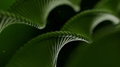 Dna Double Helix Rotating in Abstract Green Digital Space Animation 库存影片 331110069