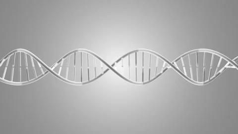 DNA double helix rotating. Can be used in education, science or cosmetics. Stock Footage 302881234
