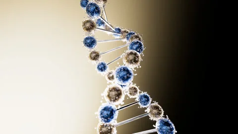 DNA Double Helix Rotating in Cinematic Gold and Black, 4K Science Animation Stock Footage 346285610