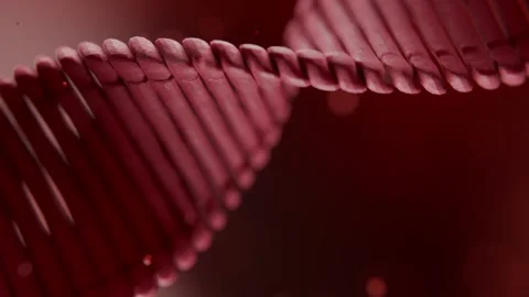 Dna Double Helix Rotating in Deep Red Background Medical Research Animation 库存影片 331109982
