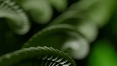 Dna Double Helix Rotating in a Digital Biological Science Animation 库存影片 331110042