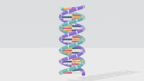 Dna double helix rotating genetics science loop 3D animation seamless loop Video stock 341122060