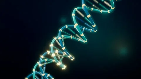 Dna double helix rotating with glowing gold base pairs loop Video stock 343194486