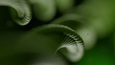 Dna Double Helix Rotating in a Microscopic Abstract Green Laboratory Environment 库存影片 331110014