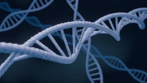 Dna Double Helix Rotating Molecules On Blue Background. Stock Footage 246470664