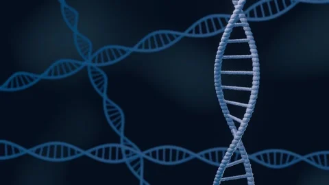 Dna Double Helix Rotating Molecules On Blue Background. Stock Footage 246470674