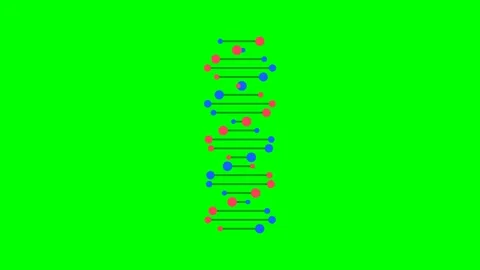 DNA Double Helix Rotating On Vertical Axis on Green Screen Stock Footage 341251354