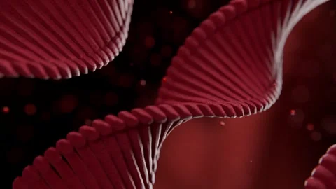 Dna Double Helix Strand Rotating in Dark Space with Scientific Particles Vídeos de archivo 331109956