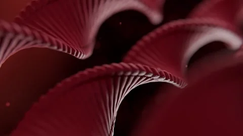 Dna Double Helix Strand Rotating in a Dark Microscopic Laboratory Background 库存影片 331110034