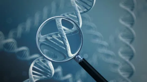 DNA double helix strands genetics human testing. Macro medicine biology Stock Footage 21325449