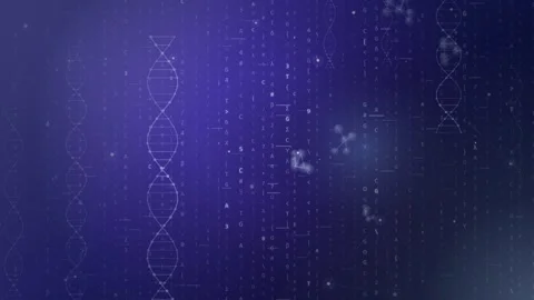 DNA double helix strands over falling genetic code characters on a purple 스톡 동영상 344666949