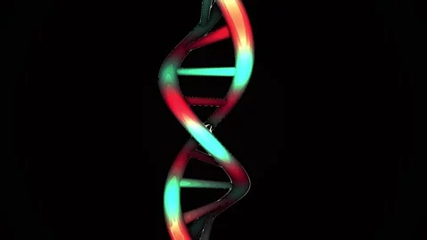DNA double helix structure animation. Stock Footage 333924684