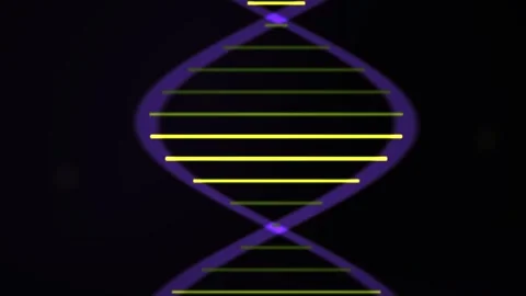 DNA Double Helix Structure Animation. Stock Footage 334186180