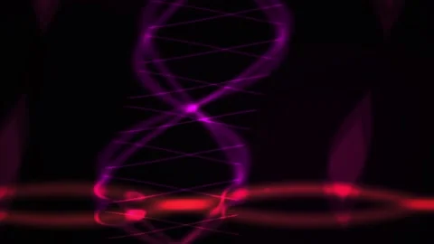 DNA Double Helix Structure Animation. Stock Footage 334334654
