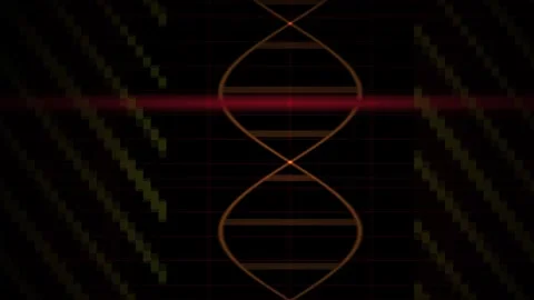 DNA Double Helix Structure Animation. Stock Footage 335108219