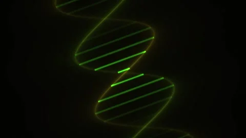 DNA Double Helix Structure Animation. Stock Footage 335108310