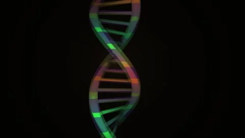 DNA double helix structure colorful model. Stock Footage 334867644